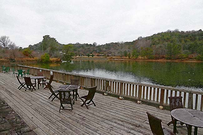 芦屋プラン株式会社七夕(たなばた1 Copilot