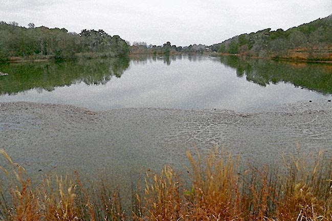 芦屋プラン株式会社七夕(たなばた1 Copilot