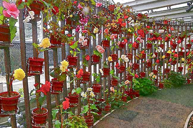 芦屋プラン株式会社七夕(たなばた1 Copilot