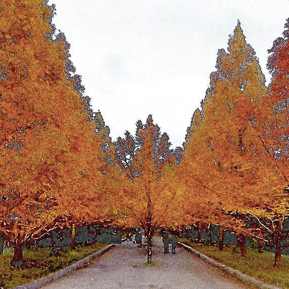 芦屋プラン株式会社　2021 神戸市立森林植物園5