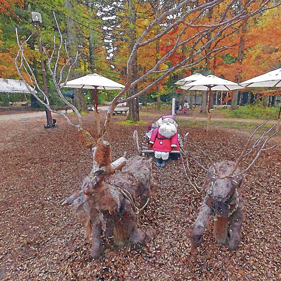 芦屋プラン株式会社　2021 神戸市立森林植物園