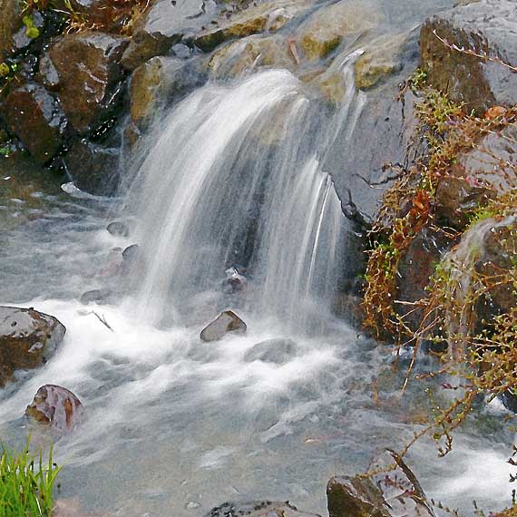 芦屋プラン株式会社　2021 京都府立関西文化学術研究都市記念公園2