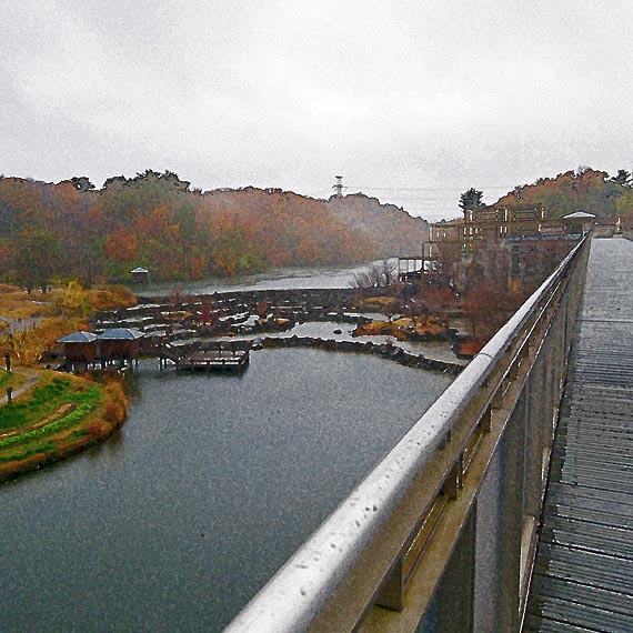 芦屋プラン株式会社　2021 京都府立関西文化学術研究都市記念公園3