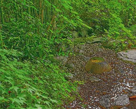 芦屋プラン株式会社　2022 竹中大工道具館お庭